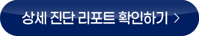 상세 진단 리포트 확인하기